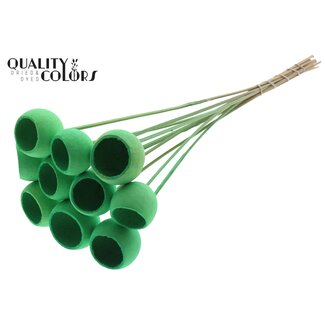 QC Bell Cup on stem Intense Mint Green