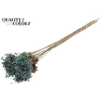 QC Mini Button Posy on stem Light Blue