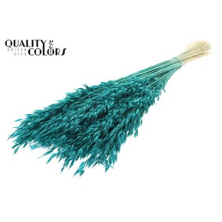 QC Gedroogde Haver | Kleur: Intens Turquoise | Avena droogbloemen | Lengte ± 60 centimeter | Gewicht 200 gram | Per bos