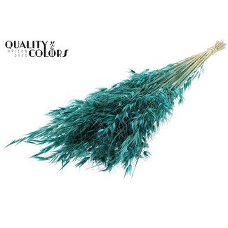 QC Getrockneter Wilder Hafer | Farbe: Türkis | Wilde Avena Trockenblumen | Länge ± 70 Zentimeter | Gewicht 100 Gramm | Pro Bund