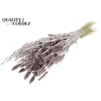 QC Dried Flower Mix Bouquet | Colour: Champagne | Length ± 60 centimetres | Per bunch