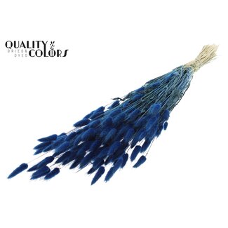 QC Dried Bunny Tails | Colour: Dark Blue | Lagurus Ovatus dried flowers | Length ± 60 centimetres | Per bunch