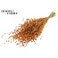 Dried Flax | Colour: Apricot | Linum Dried Flowers | Length ± 50 centimetres | Weight 150 grams | Per bunch