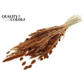 QC Gedroogde Bloemenmix Boeket | Kleur: Terracotta | Lengte ± 60 centimeter | Per bos