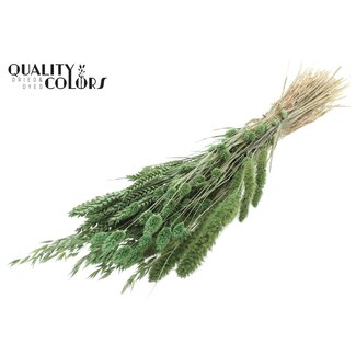 QC Gedroogde Bloemenmix Boeket | Kleur: Frosted Mintgroen | Lengte ± 60 centimeter | Per bos