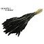 Dried Setaria | Colour: Black | Setaria dried flowers | Length ± 70 centimetres | Weight 210 grams | Per bunch