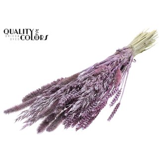 QC Dried Flower mix bunch Metallic Pink + Glitter