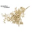 Dried Ruscus | Colour: Antique Gold | Ruscus Dried Flowers | Length ± 70 centimetres | 10 stems per bunch | Per bunch