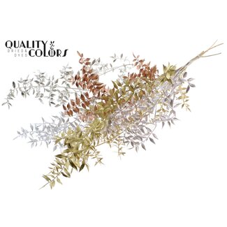 QC Gedroogde Ruscus | Metallic Mix | Kleur: Gemengde Kleuren | Ruscus Droogbloemen | Lengte ± 70 centimeter | 10 takken per bos | Per bos