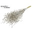 Gedroogd Vlas | Kleur: Platinakleurig met Glitter | Linum Droogbloemen | Lengte ± 50 centimeter | Gewicht 150 gram | Per bos