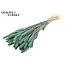 Dried Setaria | Colour: Intense Frosted Light Blue | Setaria dried flowers | Length ± 70 centimetres | Weight 210 grams | Per bunch