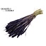 Dried Setaria | Colour: Purple | Setaria dried flowers | Length ± 70 centimetres | Weight 210 grams | Per bunch