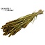 Dried Millet Sprays | Colour: Yellow | Millet Dried Flowers | Length ± 70 centimetres | Weight 250 grams | Per bunch