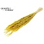 Dried Oats | Colour: Intense Yellow | Avena dried flowers | Length ± 60 centimetres | Weight 200 grams | Per bunch