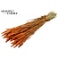 Gedroogde Tarwe | Kleur: Oranje | Triticum Droogbloemen | Lengte ± 60 centimeter | Gewicht 220 gram | Per bos