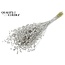 Dried Flax | Colour: Platinum | Linum Dried Flowers | Length ± 50 centimetres | Weight 150 grams | Per bunch