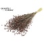 Dried Flax | Colour: Brown | Linum Dried Flowers | Length ± 50 centimetres | Weight 150 grams | Per bunch