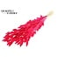Dried Hare's Tail Grass Premium | Colour: Intense Cherry Colour | Lagurus Ovatus dried flowers | Length ± 70 centimetres | Weight 100 grams | Per bunch