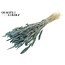 Dried Flower Mix Bouquet | Colour: Frosted Light Blue | Length ± 60 centimetres | Per bunch
