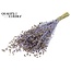 Dried Flax | Colour: Pearl Milk Purple | Linum Dried Flowers | Length ± 50 centimetres | Weight 150 grams | Per bunch