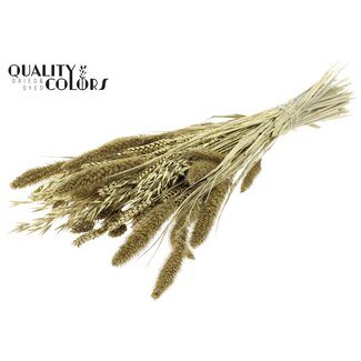 QC Dried Flower mix bunch Gold