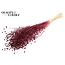 Dried Flax | Colour: Intense Bordeaux Red | Linum Dried Flowers | Length ± 70 centimetres | Weight 100 grams | Per bunch