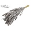 Dried Setaria | Colour: Silver | Setaria dried flowers | Length ± 70 centimetres | Weight 210 grams | Per bunch