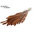 Dried Setaria | Colour: Terracotta | Setaria dried flowers | Length ± 70 centimetres | Weight 210 grams | Per bunch