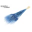 Dried Beard Wheat | Colour: Intense Blue | Triticum Beard Dried Flowers | Length ± 70 centimetres | Per bunch
