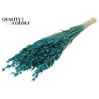 QC Gedroogde Haver Premium | Kleur: Turquoise | Avena Premium Droogbloemen | Lengte ± 70 centimeter | Gewicht 200 gram | Per bos