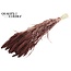 Dried Millet Spray | Colour: Intense Brown | Millet Dried Flowers | Length ± 70 centimetres | Weight 200 grams | Per bunch