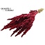 Dried Amaranthus | Colour: Cherry-coloured | Cat's Tail Dried Flowers | Length ± 60 centimetres | Per bunch