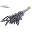 Dried Setaria | Colour: Pearl Milka Purple | Setaria dried flowers | Length ± 70 centimetres | Weight 210 grams | Per bunch