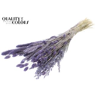 QC Dried Flower Mix Bouquet | Colour: Frosted Lilac Purple | Length ± 60 centimetres | Per bunch