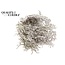 Dried Sea Lavender | Colour: Natural White | Limonium Tataricum Dried Flowers | Length ± 30 cm | Weight 45 grams | Per bunch