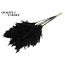 Dried Pampas Plumes | Colour: Black | Pampas Dried Flowers | Length ± 70 centimetres | 10 plumes per bunch | Per bunch