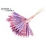 Dried Palm Leaf in Fan Shape | Colour: Speckled Pink Milka | Palm Sun Dried Flowers | Length ± 50 centimetres | Per 10 stems