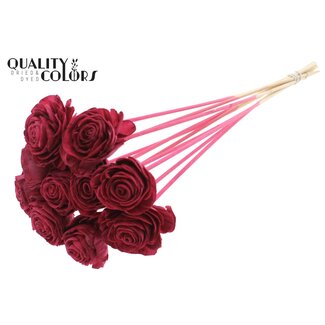 QC Shola Houten Roos op stok | Kleur: Bordeauxrood | Shola Beauty Rose Bijsteker | Diameter roos 6 centimeter | Lengte bijsteker ± 50 centimeter | Per 10 bijstekers