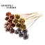 Pinecone on Stick | Colour: White | Metallic Chic Mix Pick | Pinecone Diameter 5 - 7 centimetres | Length ± 50 centimetres | Per 10 picks