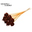 Pine cone on stick | Colour: Orange | Pine cone diameter 5 - 7 centimetres | Length ± 50 centimetres | Per 10 picks
