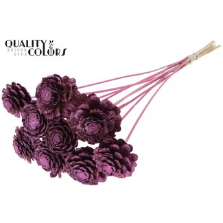 QC Geschnittene Kieferzapfen auf Stiel | Farbe: Metallic Rosa | Durchmesser Kieferzapfen 5 - 7 Zentimeter | Länge ± 50 Zentimeter | Pro 10 Einstecker