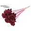 Shola Wooden Rose on Stick | Colour: Burgundy | Shola New Beauty Rose Stick | Rose Diameter 6 centimetres | Stick Length ± 50 centimetres | Per 10 sticks