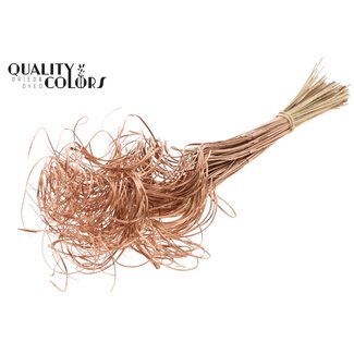 QC Dried Palm Leaf Vein | Curly Ting Ting | Colour: Copper | Dried Decoration | Length ± 70 centimetres | 3 veins per stem | Per 33 stems