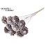 Sliced Pine Cone on Stick | Colour: Champagne | Pine Cone Diameter 5 - 7 centimetres | Length ± 50 centimetres | Per 10 picks