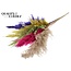 Dried Pampas Plumes | Colourful 2 | Colour: Mixed Colours | Pampas Dried Flowers | Length ± 100 centimetres | 5 plumes per bunch | Per bunch