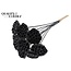 Dried Lotus Pods on Stick | Colour: Black | Lotus Diameter 5 - 7 centimetres | Pick Length ± 50 centimetres | Per 10 picks