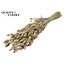 Gedroogde Phalaris | Kleur: Frosted Wit | Kanariegras Droogbloemen | Lengte ± 60 centimeter | Gewicht 220 gram | Per bos