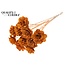 Shola Houten Roos op stok | Kleur: Terracotta | Shola Beetal Rose Bijsteker | Diameter roos 8 centimeter | Lengte bijsteker ± 50 centimeter | Per 10 bijstekers