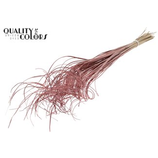 QC Dried Palm Leaf Vein | Curly Ting Ting | Colour: Light Pink | Dried Decoration | Length ± 70 centimetres | Per 100 stems