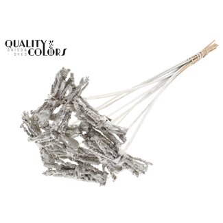 QC Decoratieve Coco Rose Boeketje op stok | Kleur: Platinakleurig | Coco Rose Posy Bijsteker | Lengte ± 50 centimeter | Per 10 bijstekers